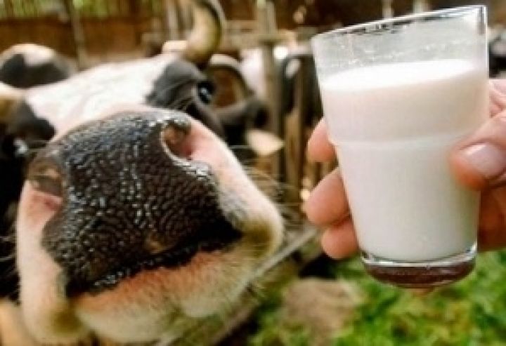 На Волыни организовали специальные площадки реализации молока