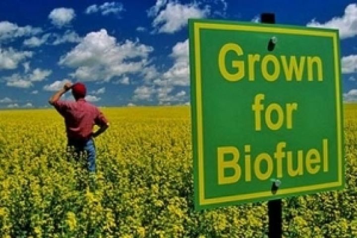 Украина может производить 90 млн т биотоплива ежегодно — эксперт