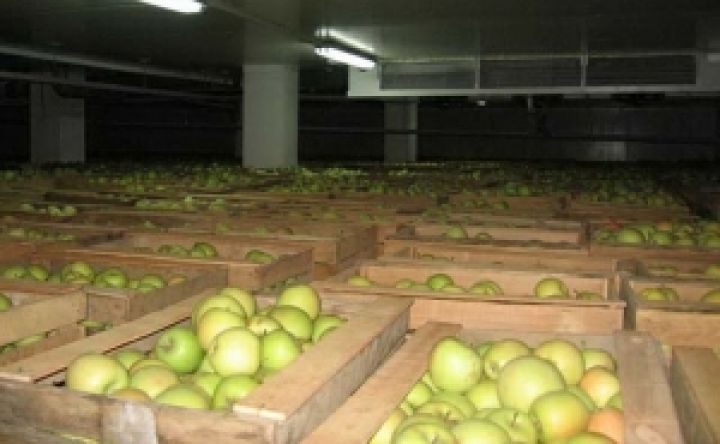 В Тернопольской области построят крупное фруктохранилище