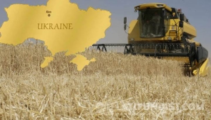 Украина может стать мировым лидером по производству зерна — эксперт