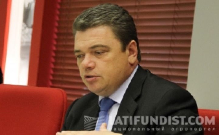 Вячеслав Цымбал, директор департамента Минэкономразвития по вопросам евроинтеграции