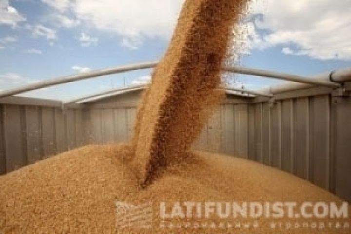 Урожай зерна в Херсонской области вырос в 1,7 раза