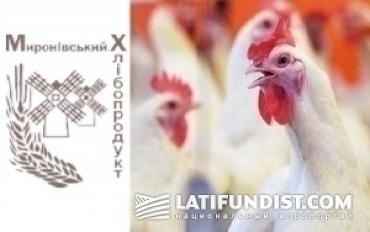 Агрохолдинг Косюка нарастил экспорт курятины в 2,6 раза