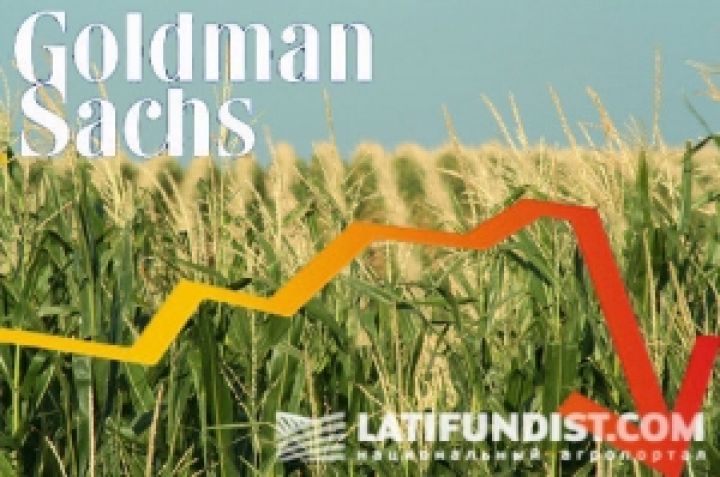 Goldman Sachs прогнозирует обвал мировых цен на кукурузу