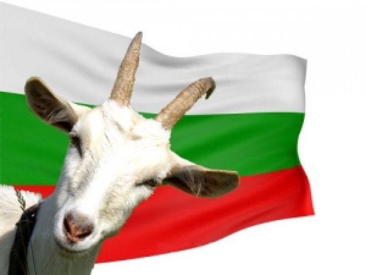 Украина ограничила ввоз мясной продукции из Болгарии