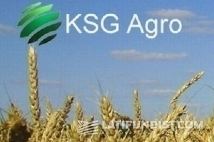 Доход KSG Agro от продаж рапса вырос в 19 раз