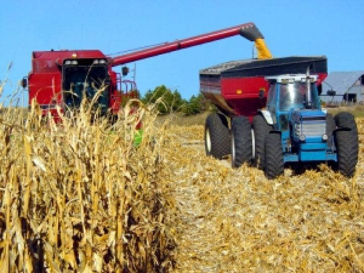 В Украине завершается сбор кукурузы, сои и сахарной свеклы