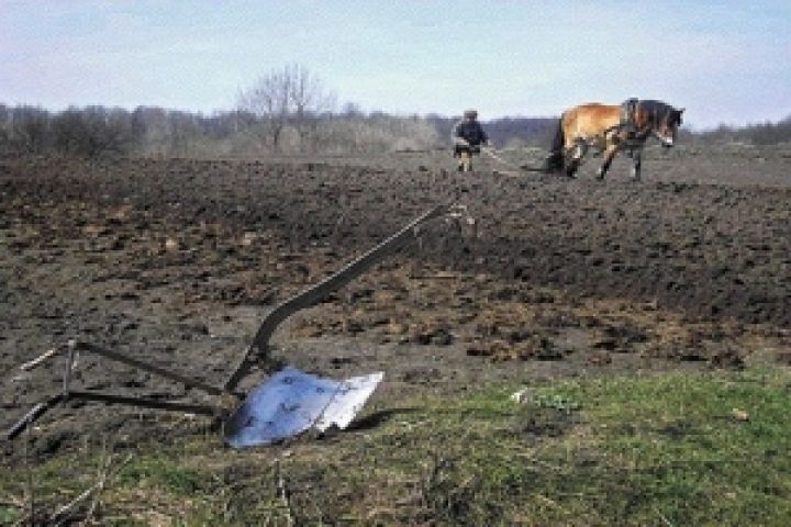 Украинцы не готовы к открытию рынка земли — мнение