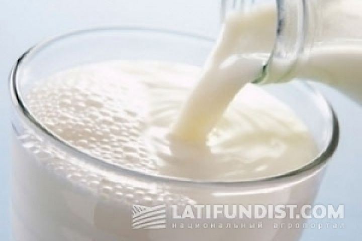 Производство молока экстра-класса  в Украине выросло на 70% — УКАБ