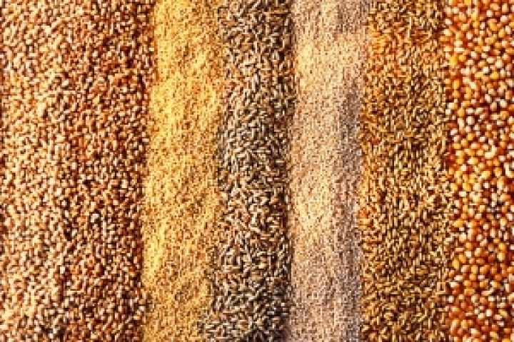 Госсельхозинспекция проверила на Львовщине 106 партий зерна