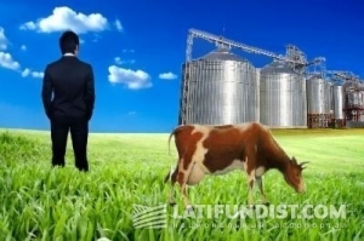 Астарта планирует развивать скотоводство
