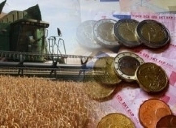 Украинские аграрии нарастили экспорт зерна на 16%