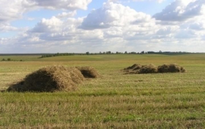 На Кировоградщине 0,4 млн га сельхозземель находятся в пользовании фермеров