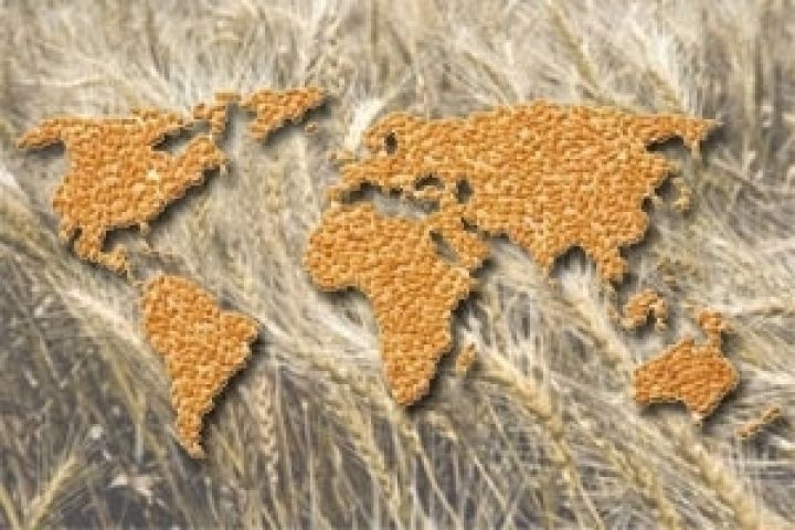 Экспорт украинских зерновых в азиатские страны вырос в 10 раз