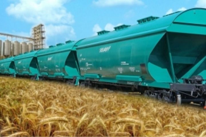 Украинский завод будет поставлять зерновозы в Китай