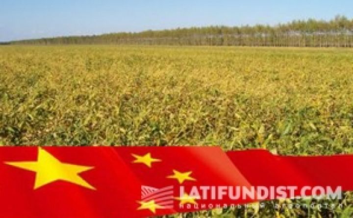 Украинскую сою будут экспортировать в Китай