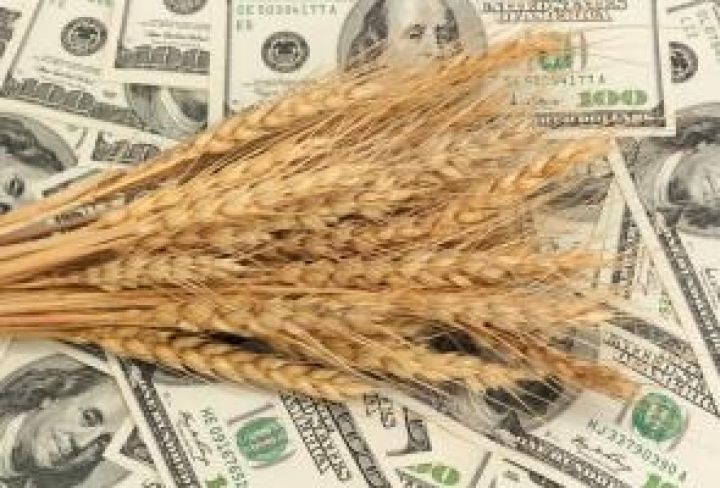 Украина может получить сертификат на поставку пшеницы в США