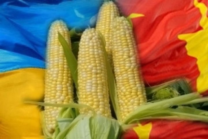 Китай заинтересован в импорте украинской сельхозпродукции — эксперт