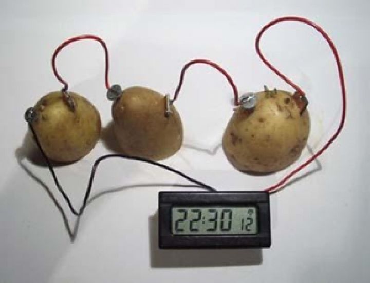 Ученые разработали энергетическое устройство на картофеле