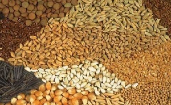 Аграрии Харьковщины заготовили 50 тыс. т семян яровых культур