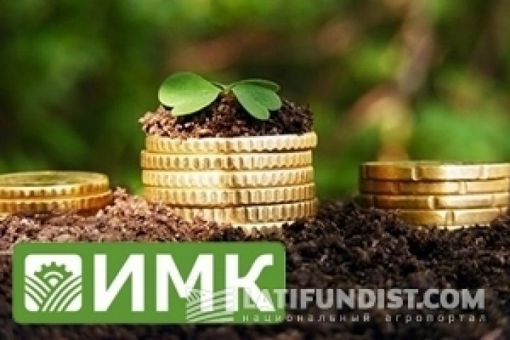 ИМК планирует существенно сократить инвестиции