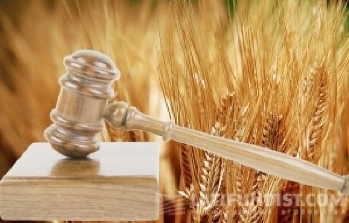В Украине состоялся первый аукцион по продаже прав аренды на сельхозземли