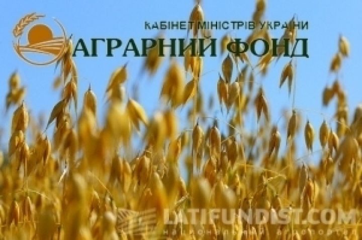 Аграрный фонд выплатил 111 млн грн за услуги по хранению и переработке зерна