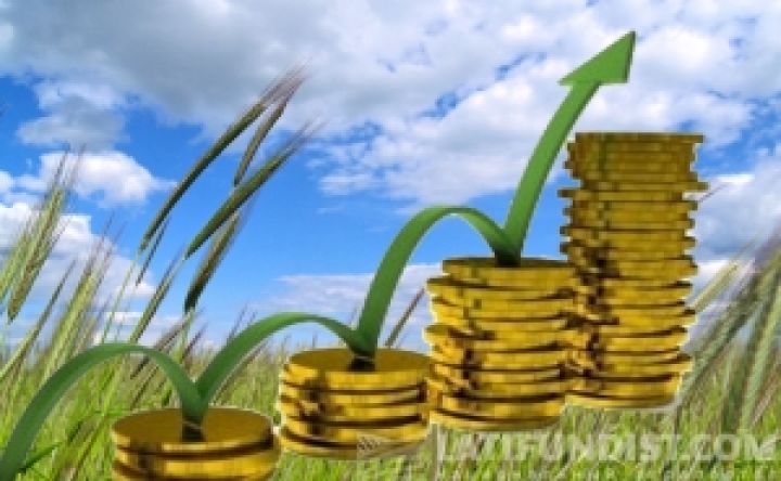 Сельское хозяйство Украины восстановит темпы роста в IV квартале – эксперт