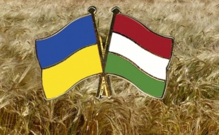 Украина и Венгрия расширят сотрудничество в аграрном секторе