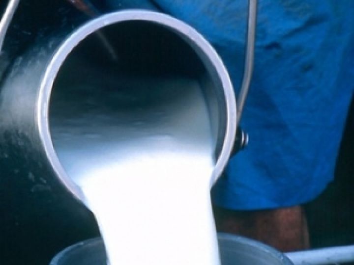 На Винничине создали 175 пунктов по заготовке сырого товарного молока