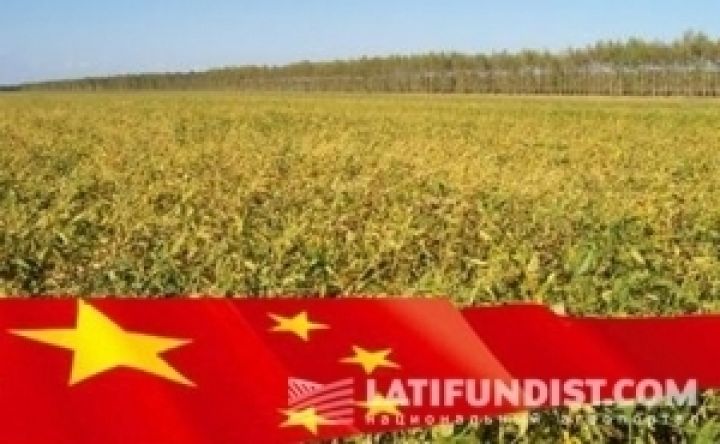 Китай доверяет качеству украинской сельхозпродукции — эксперт