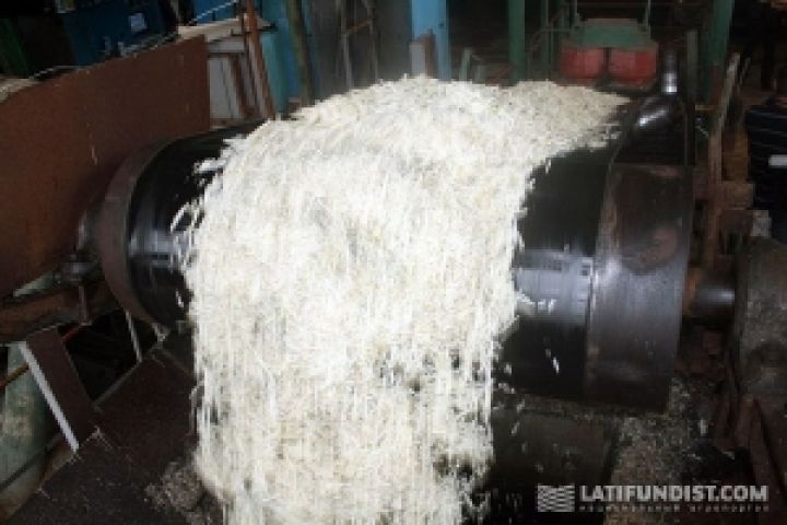 Переработку сахарной свеклы в Украине еще не закончили 4 предприятия