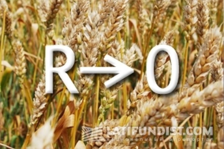 Рентабельность реализации зерна нового урожая в Украине близится к нулю – УКАБ