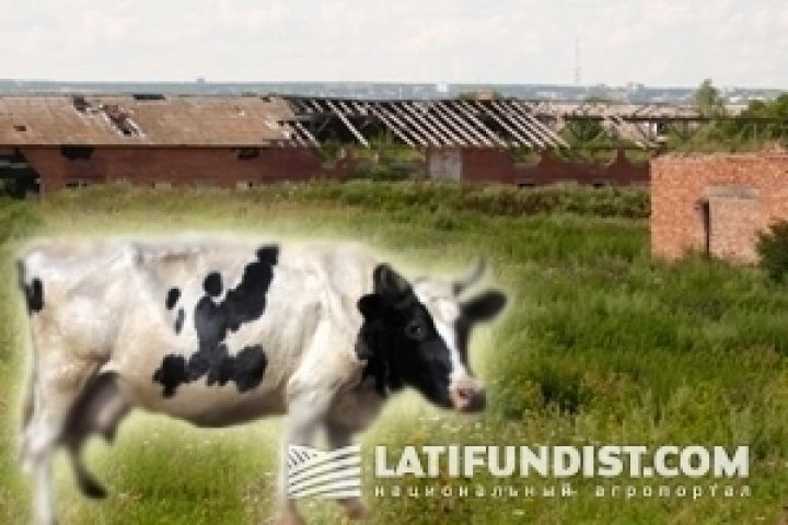 Запрет подворного убоя скота в Украине будет иметь негативные последствия