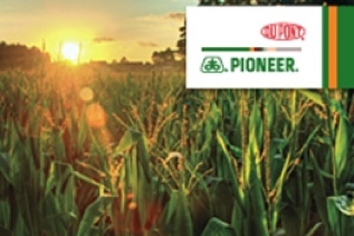 Компания DuPont Pioneer выиграла судебное дело против поддельщика семян