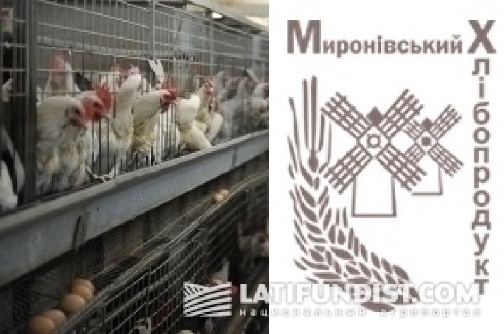 Мироновская птицефабрика назначила нового директора