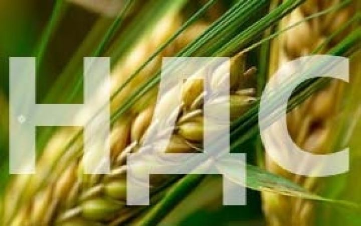 Возврат НДС при экспорте зерна повысит инвестиционную привлекательность Украины — Астарта