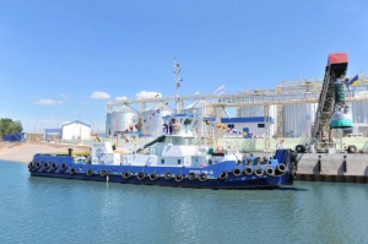 За счет собственного флота НИБУЛОН будет перевозить до 3 млн т зерна в год