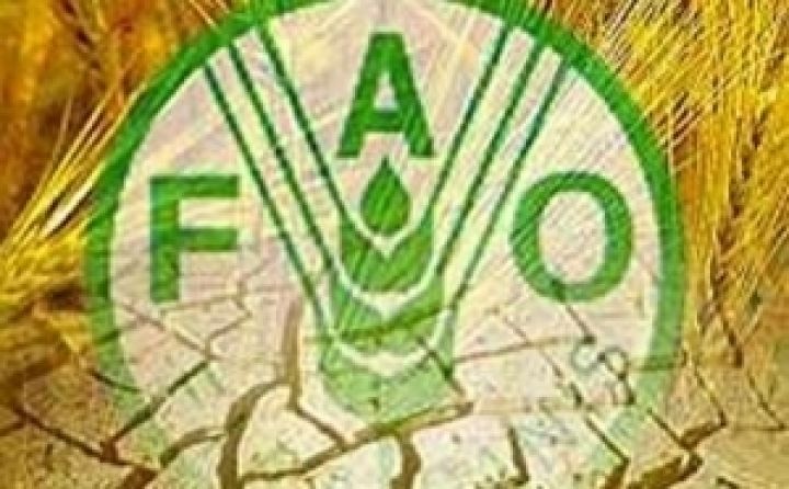 Мировая продбезопасность требует улучшения состояния почв — ФАО