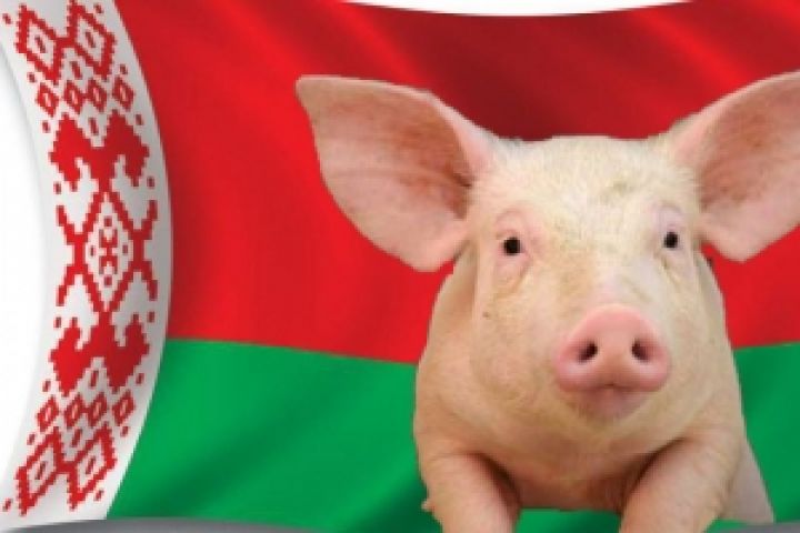 Беларусь ввела временные ограничения на ввоз украинской свинины