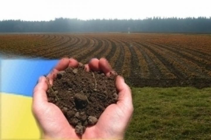 Сельхозземли в Украине сильно истощены — мнение