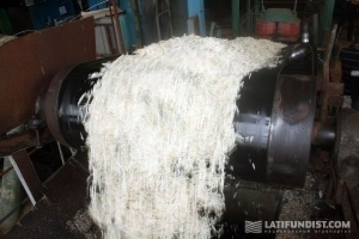 Производство сахара в Украине составило 1,2 млн т