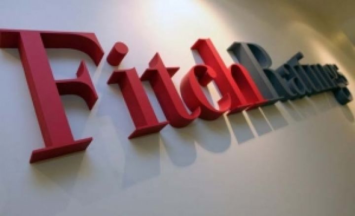 Fitch оставил неизменным рейтинг UkrLandFarming после сделки с Cargill
