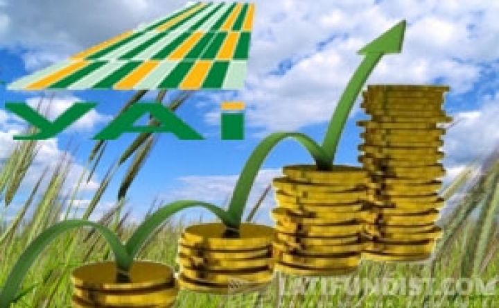 S&P повысило рейтинг холдинга Украинские аграрные инвестиции