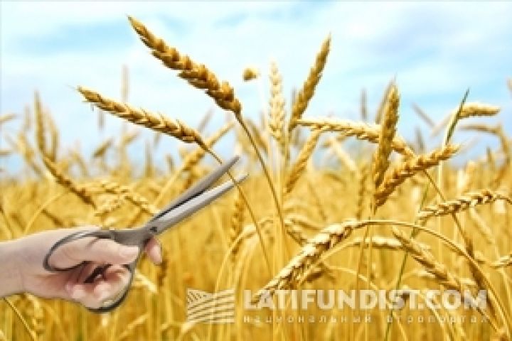 Украинские аграрии в 2014 г. будут зависеть от «ценовых ножниц» — Лисситса