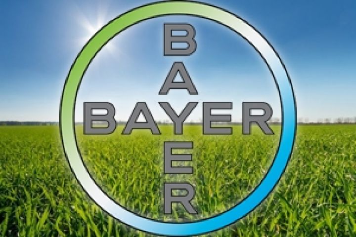 Bayer совместно с IFC взялись за развитие фермерства в Украине