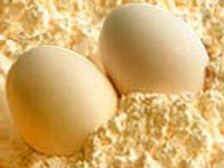 Овостар на треть нарастила продажи яичных продуктов