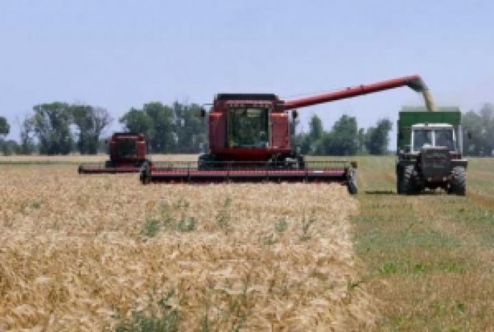 Украинские аграрии заготовили для весенне-полевых работ 50% ГСМ