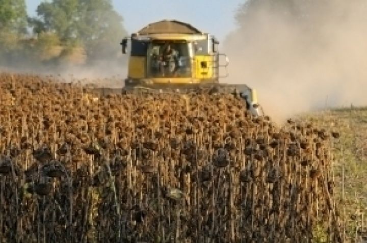Будущий урожай масличных в Украине оценили в 15,4 млн т