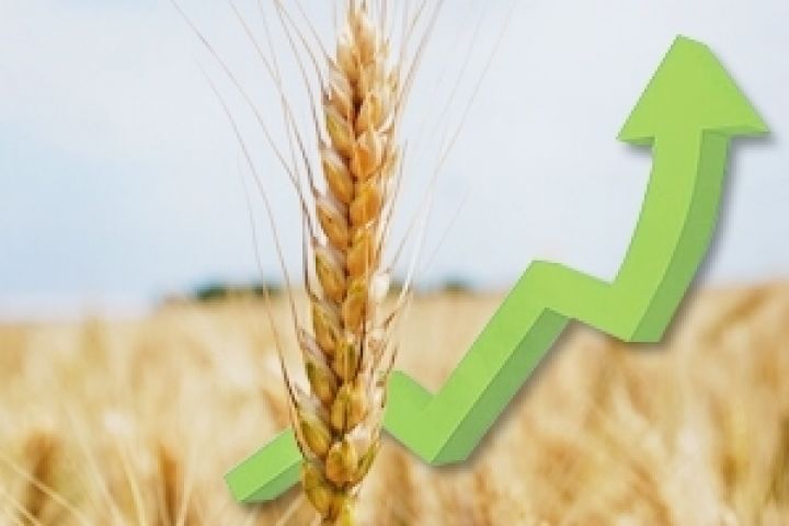 С начала года Украина экспортировала более 2 млн т зерна